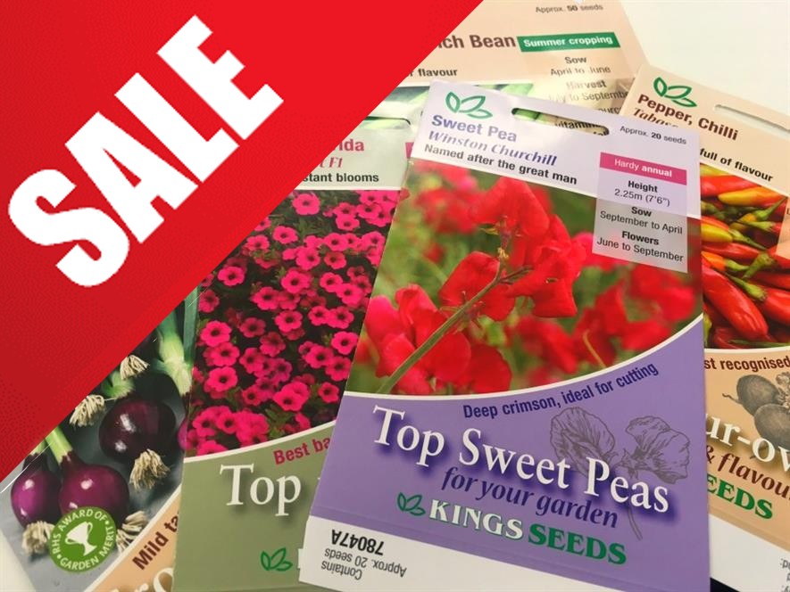 Kings Seeds sale category image Glasgow Allotments Forum